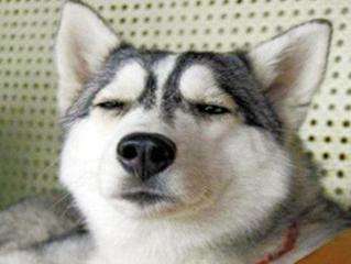 1533886156138463.jpg 1.jpg